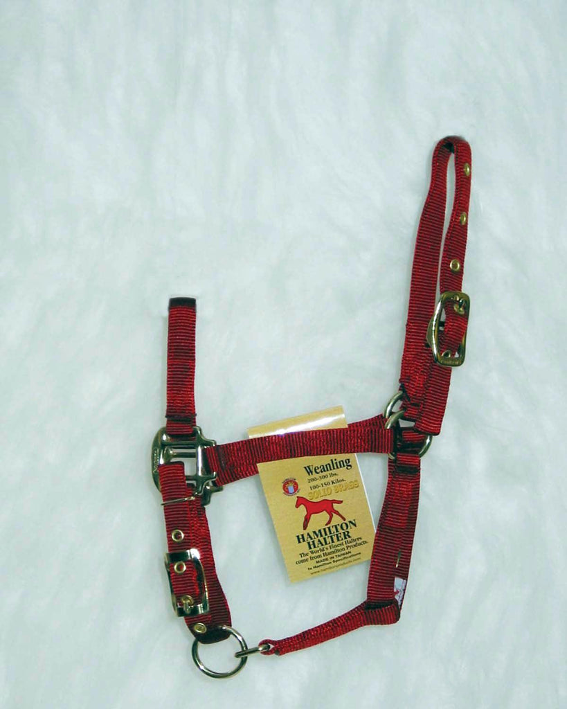 Adjustable Chin Horse Halter With Snap