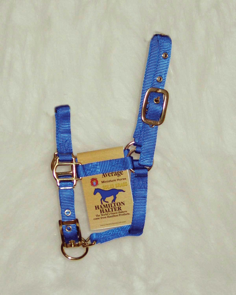 Adjustable Miniature Horse Halter