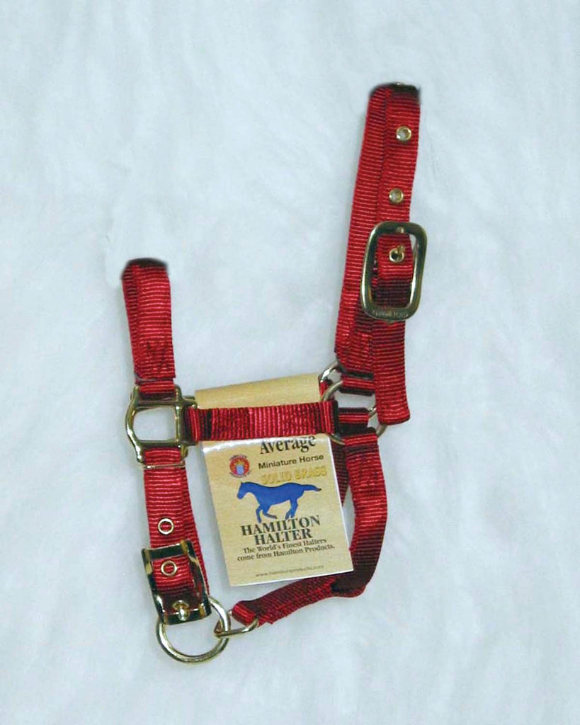 Adjustable Miniature Horse Halter