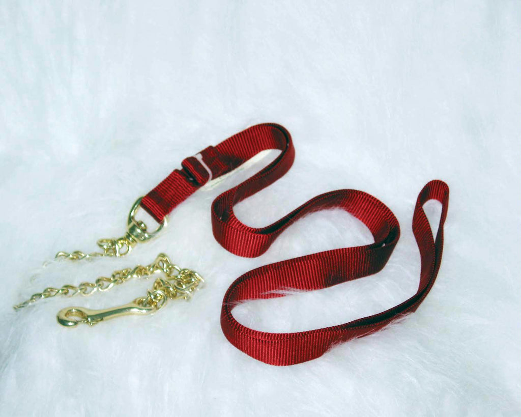 Nylon Lead With Chain & Snap