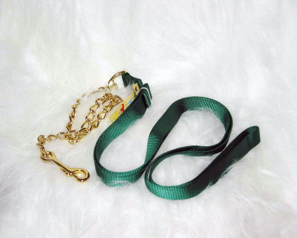 Nylon Lead With Chain & Snap