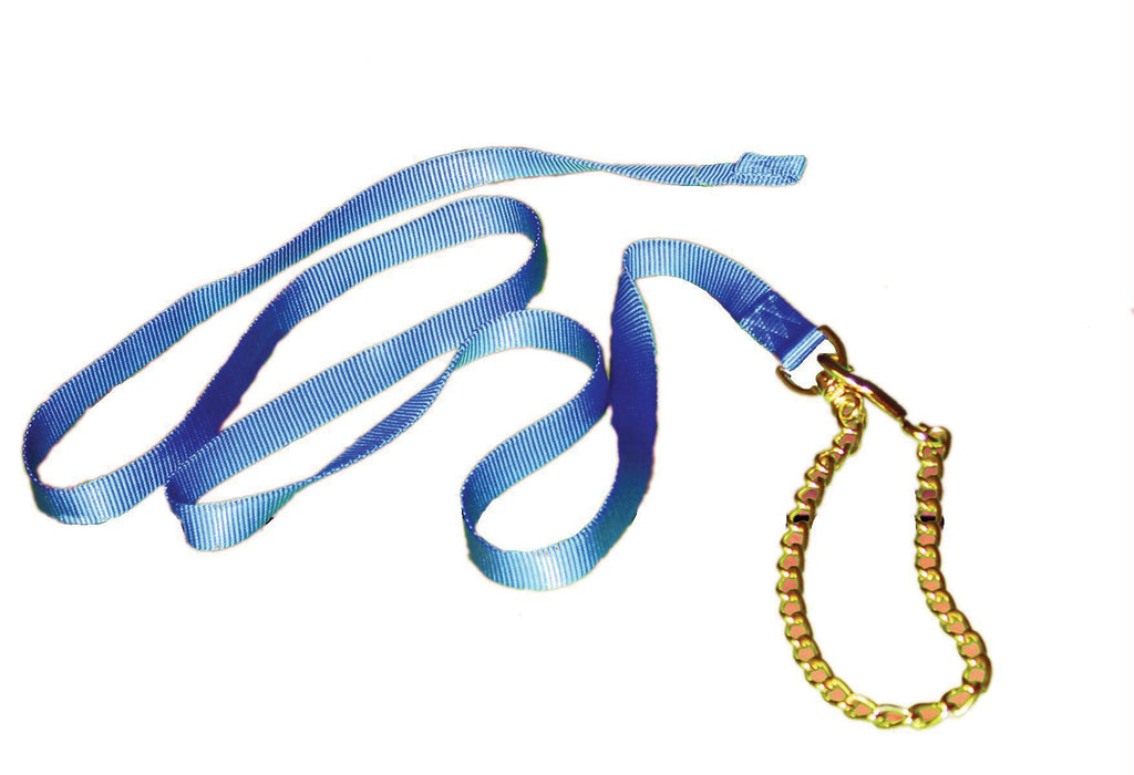 Nylon Lead With Chain & Snap