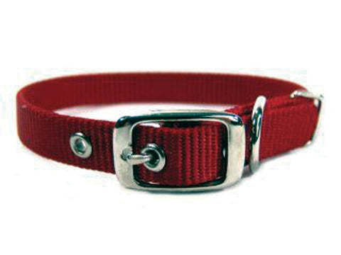 Single Thick Nylon Dog Collar