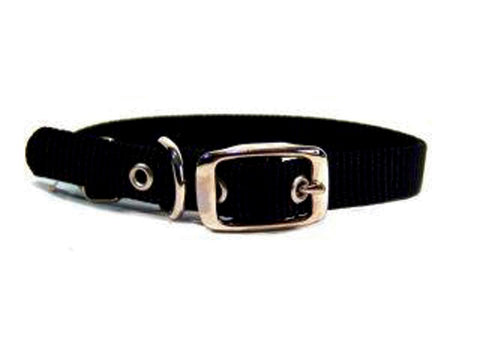 Single Thick Nylon Dog Collar