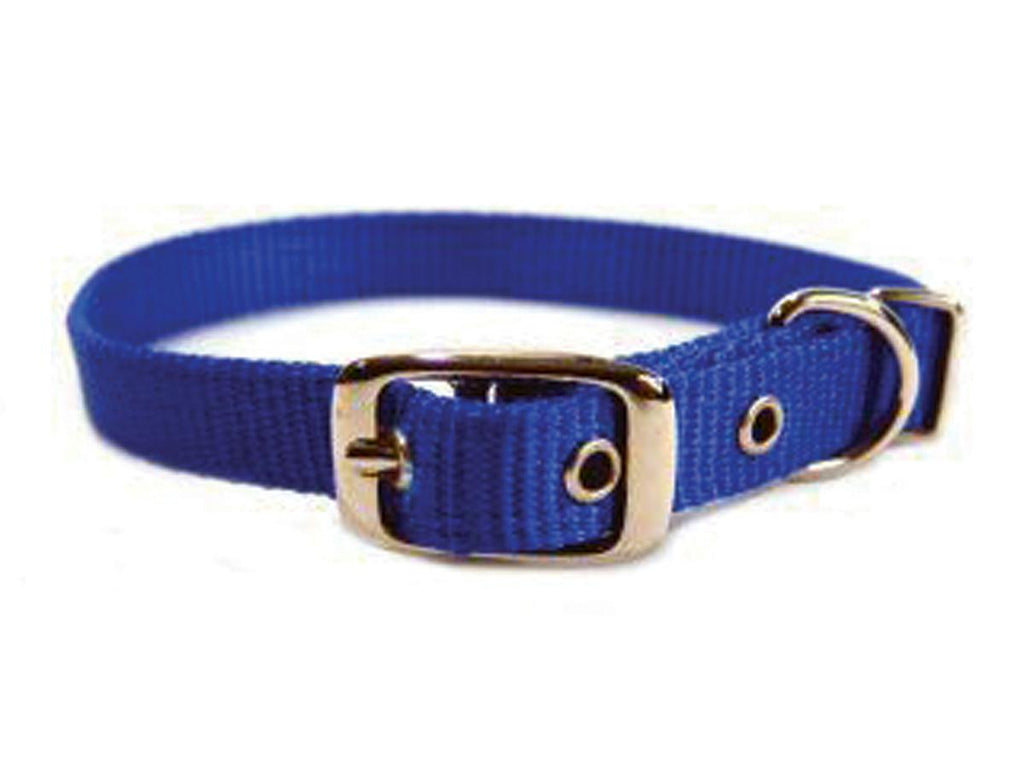 Single Thick Nylon Dog Collar