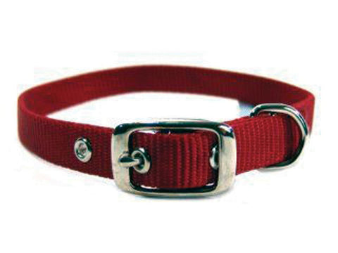 Single Thick Nylon Dog Collar