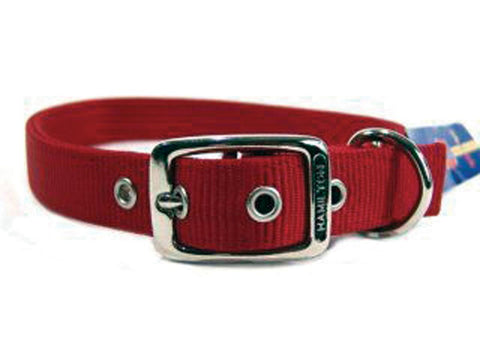 Double Thick Nylon Dog Collar