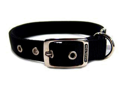 Double Thick Nylon Dog Collar