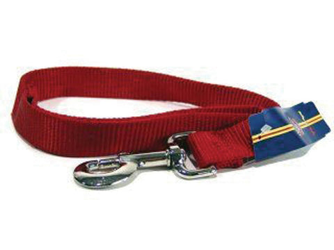 Single Thick Nylon Lead