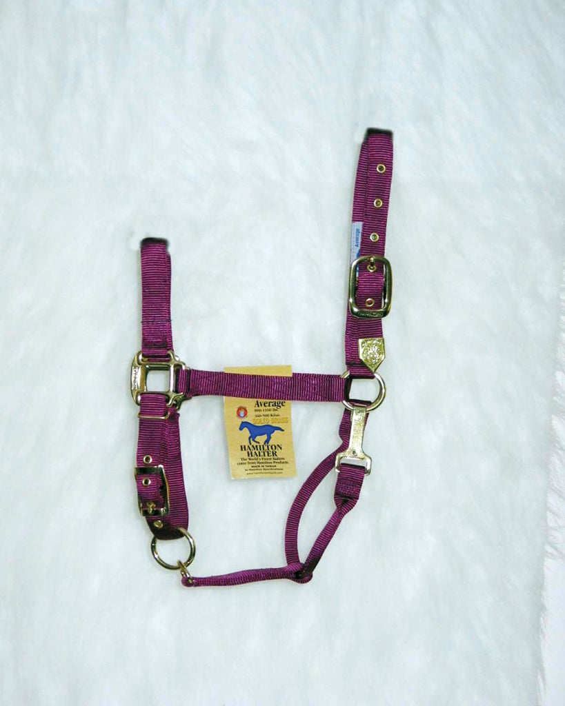 Adjustable Chin Horse Halter With Snap