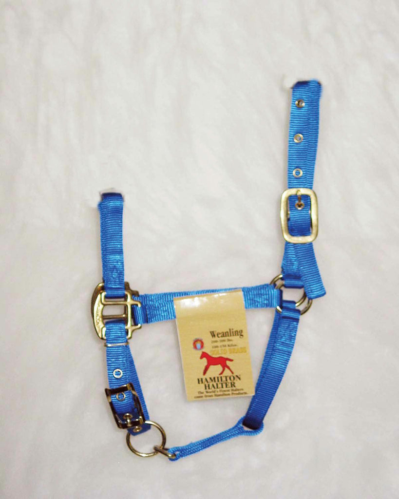 Adjustable Chin Horse Halter With Snap