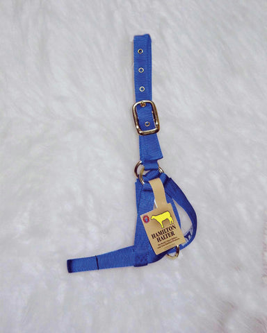 Turnout Halter