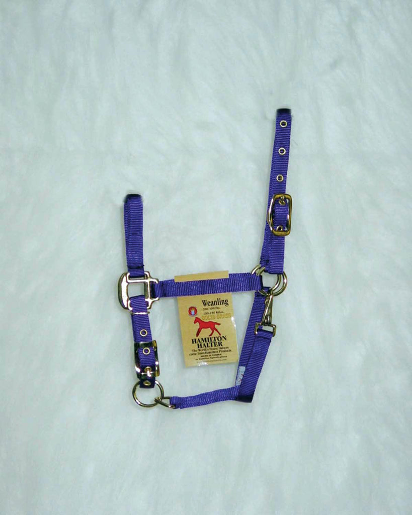 Adjustable Chin Horse Halter With Snap