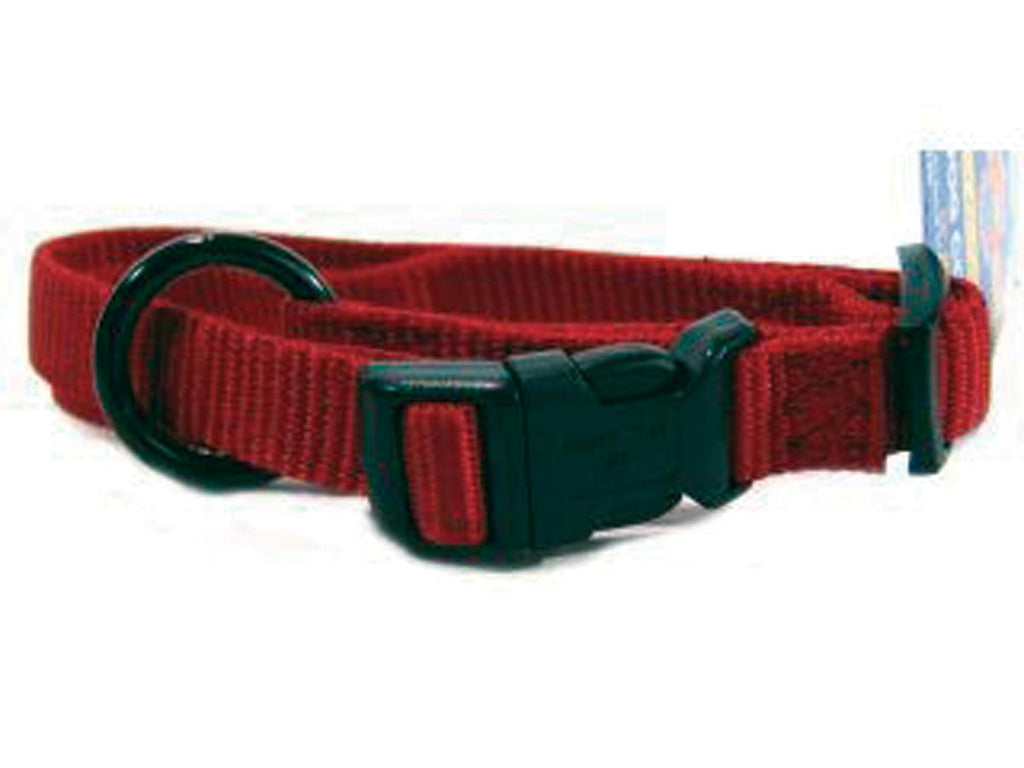 Adjustable Dog Collar