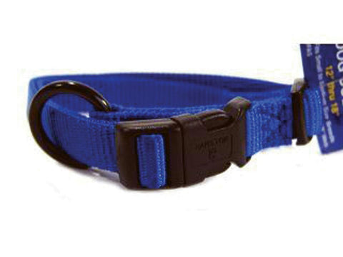 Adjustable Dog Collar