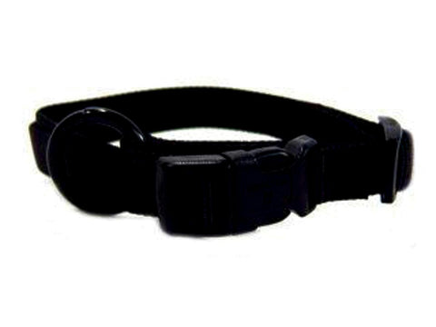 Adjustable Dog Collar