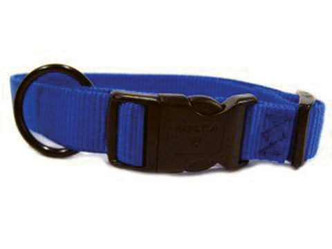 Adjustable Dog Collar