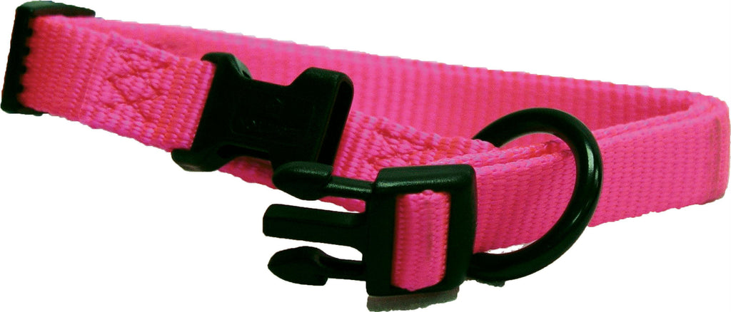 Adjustable Dog Collar