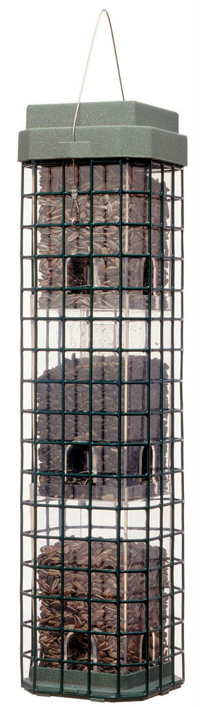 Evenseed Squirrel Dilemma Feeder