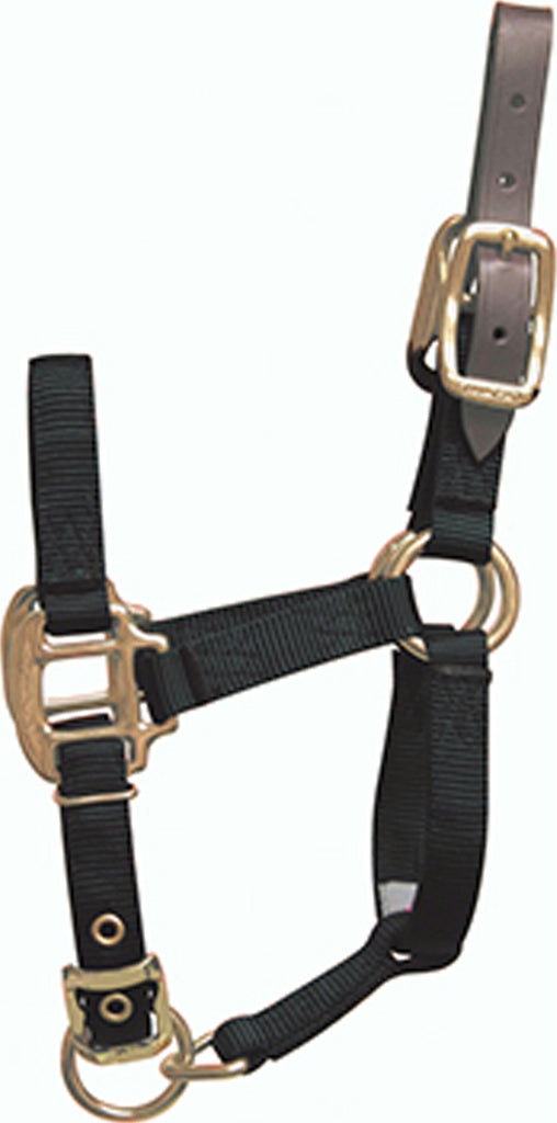 Adjustable Horse Halter With Leather Headpole