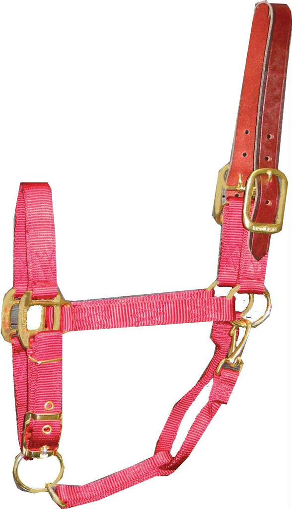 Adjustable Horse Halter With Leather Headpole