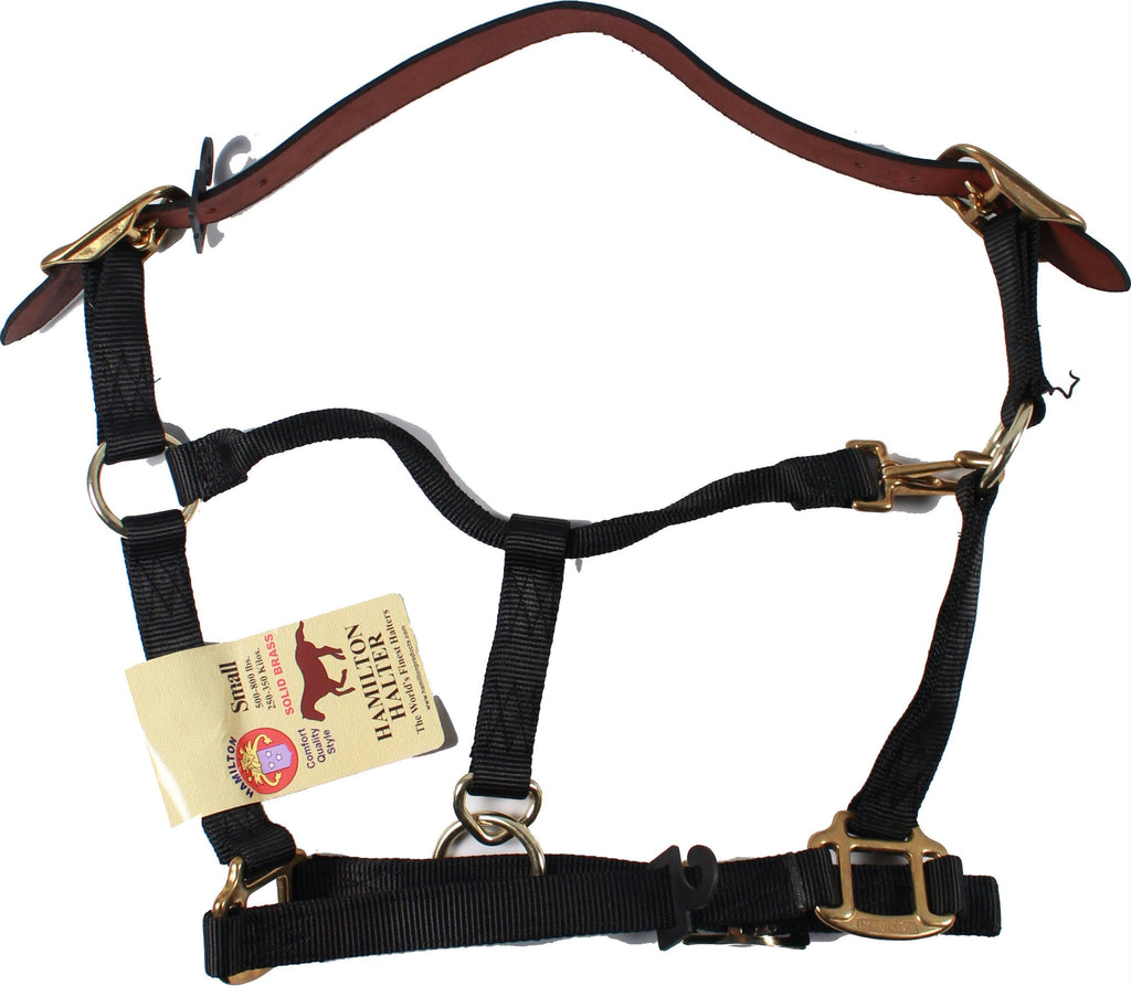 Adjustable Horse Halter With Leather Headpole