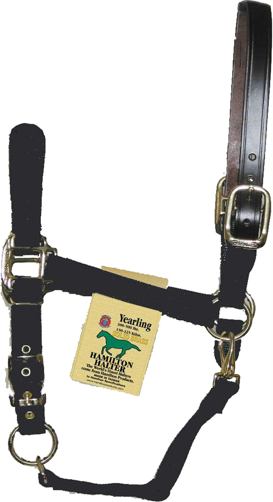 Adjustable Horse Halter With Leather Headpole