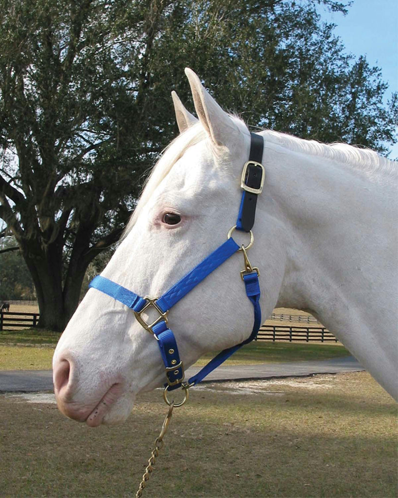 Adjustable Horse Halter With Leather Headpole