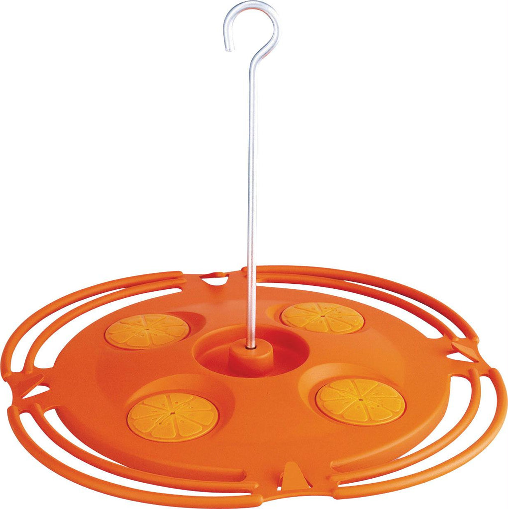 Plastic Flat Oriole Feeder