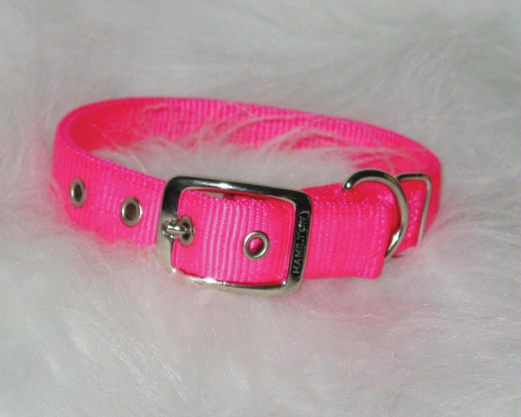 Double Thick Nylon Dog Collar