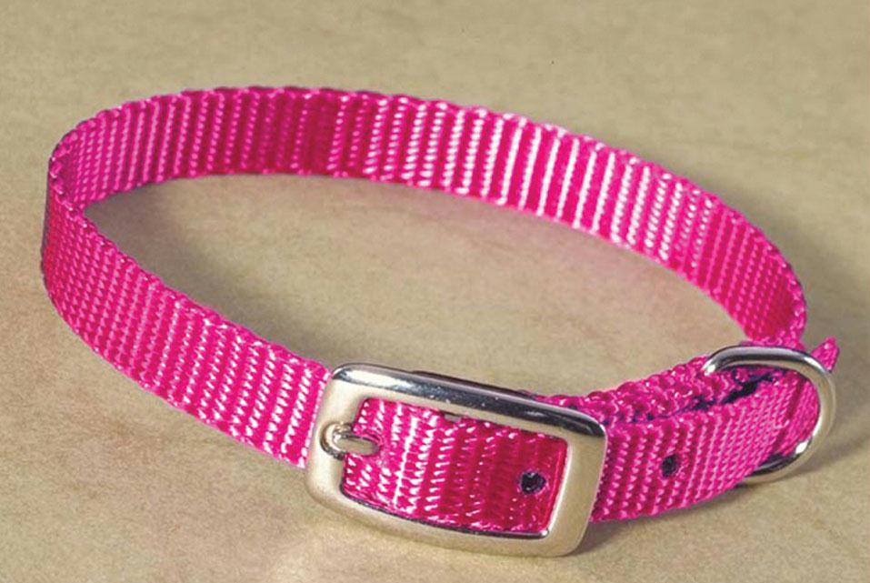 Single Thick Nylon Dog Collar