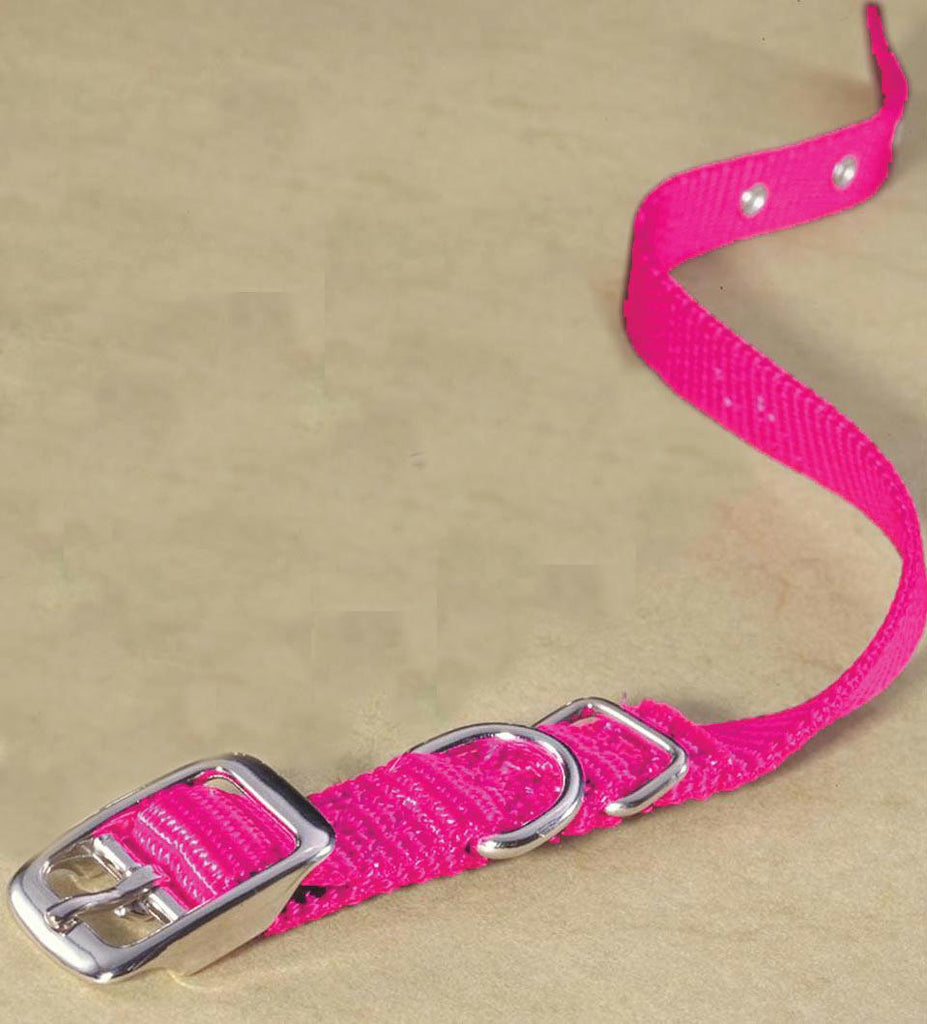 Single Thick Nylon Dog Collar