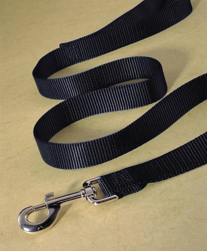 Single Thick Nylon Lead