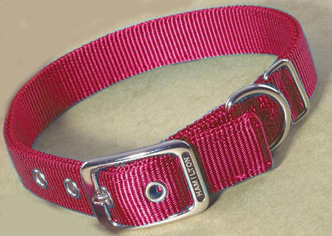 Double Thick Nylon Dog Collar