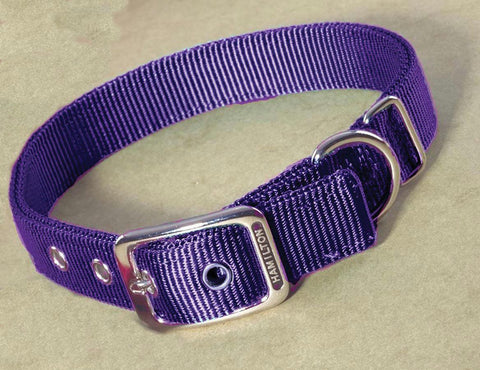 Double Thick Nylon Dog Collar