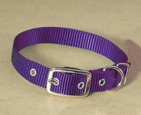 Single Thick Nylon Dog Collar