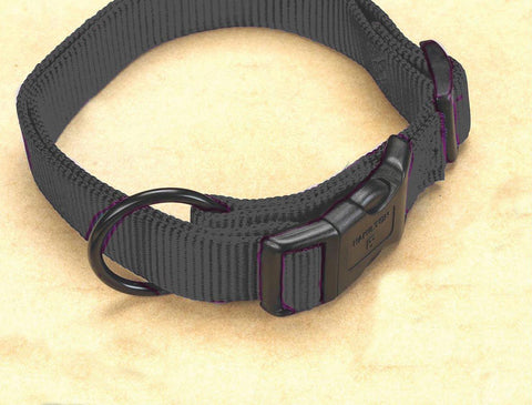 Adjustable Dog Collar