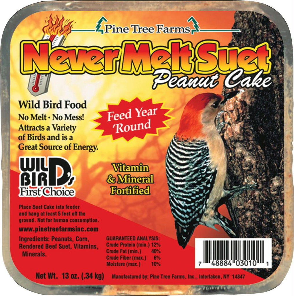 Never Melt Suet Cake
