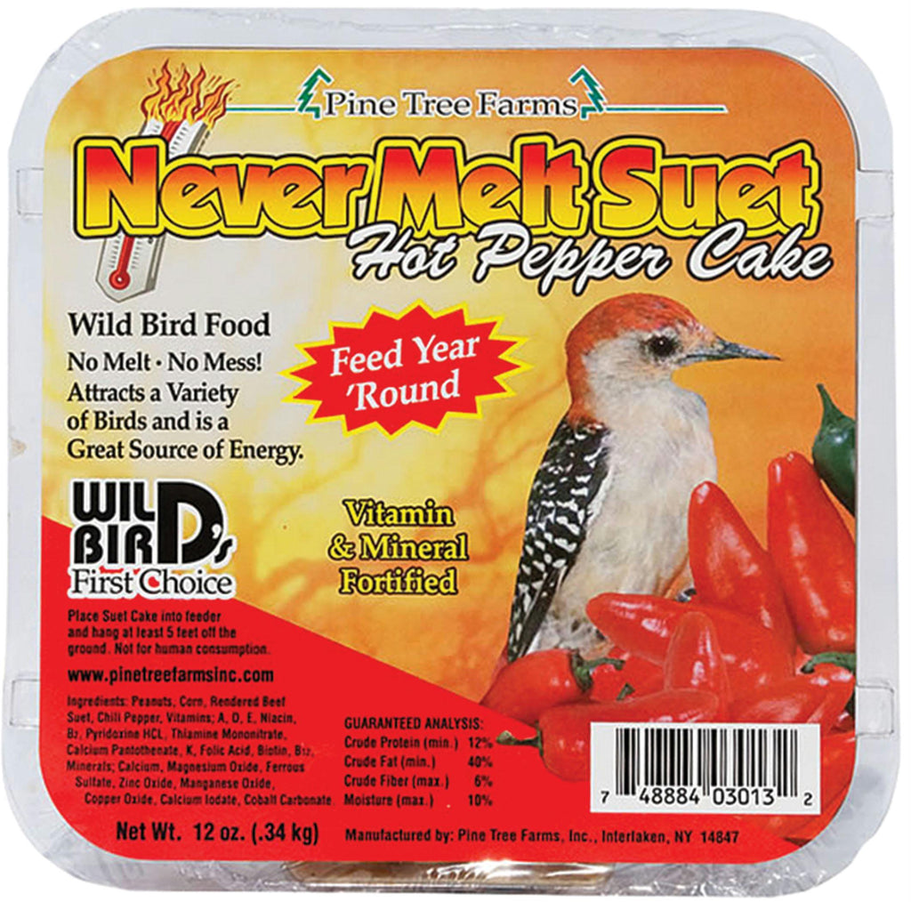 Never Melt Suet Cake