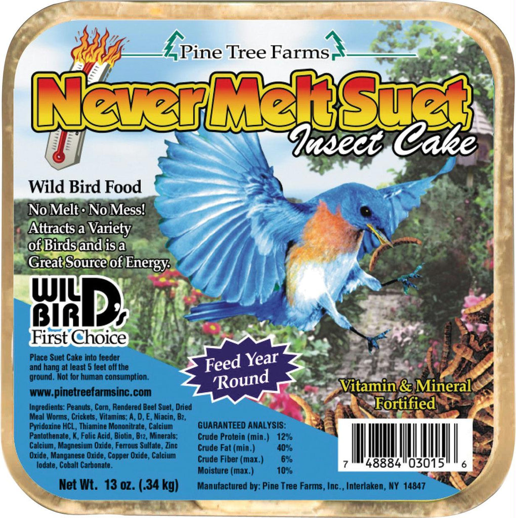 Never Melt Suet Cake