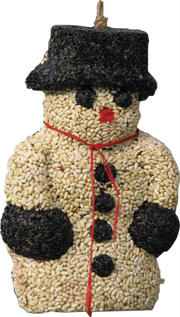 Mr Sno E Mann Seed Wreath