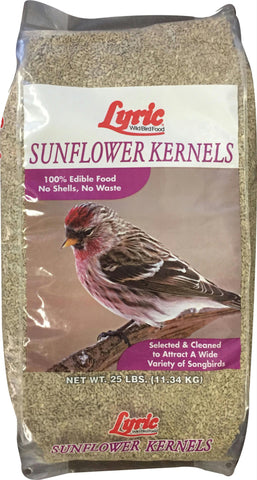 Sunflower Kernel