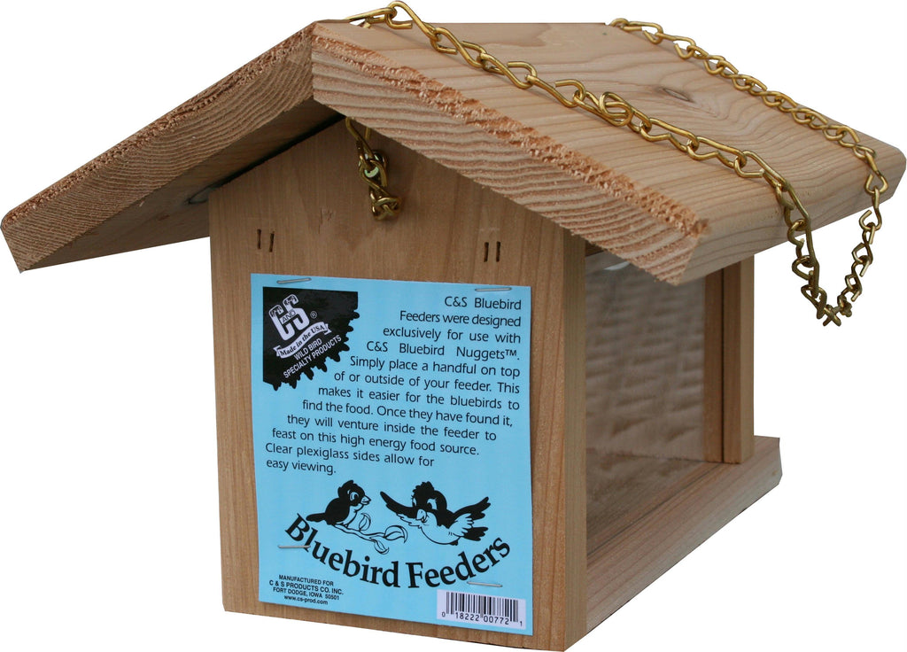 Bluebird Feeder