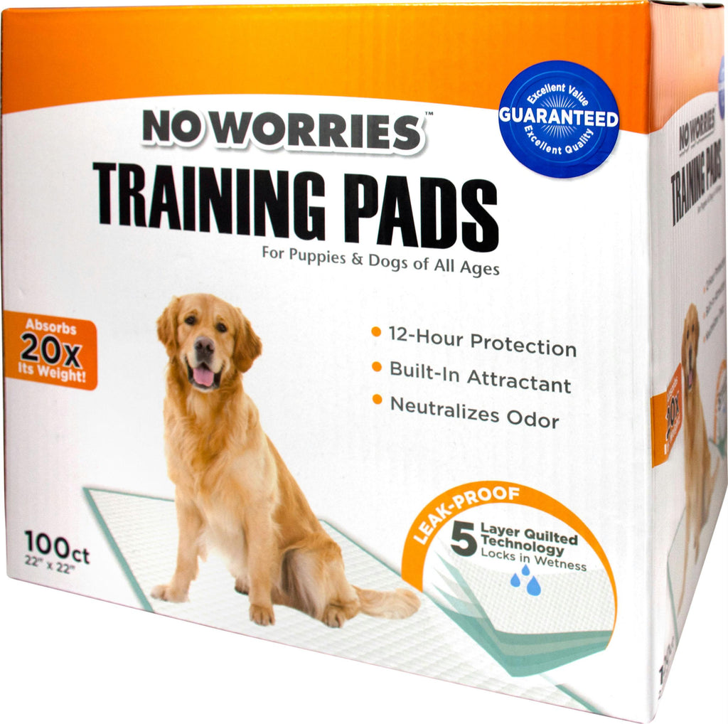 No Worries Training Pads 100ct