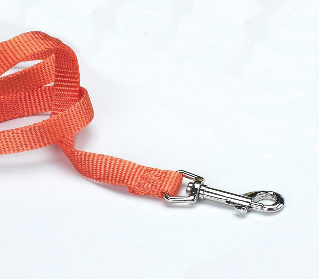 Single Thick Nylon Lead