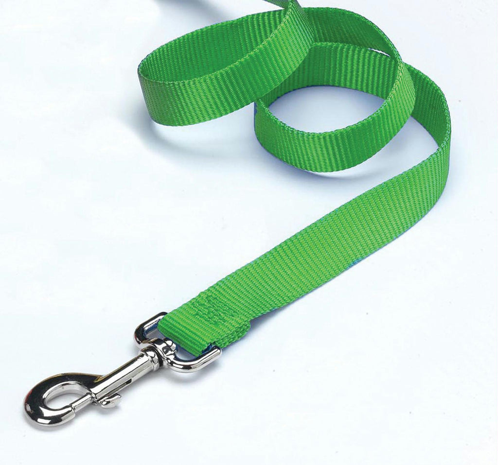 Single Thick Nylon Lead