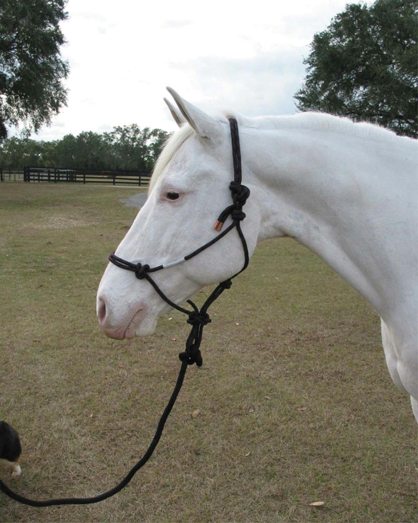 Adult Horse Rope Halter With Lead