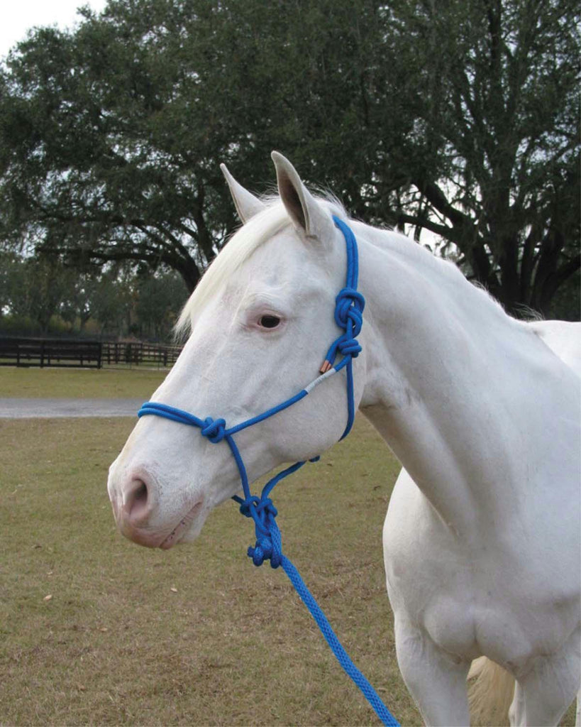 Adult Horse Rope Halter With Lead