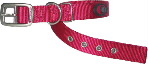 Double Thick Nylon Dog Collar