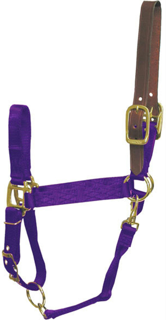 Adjustable Horse Halter With Leather Headpole